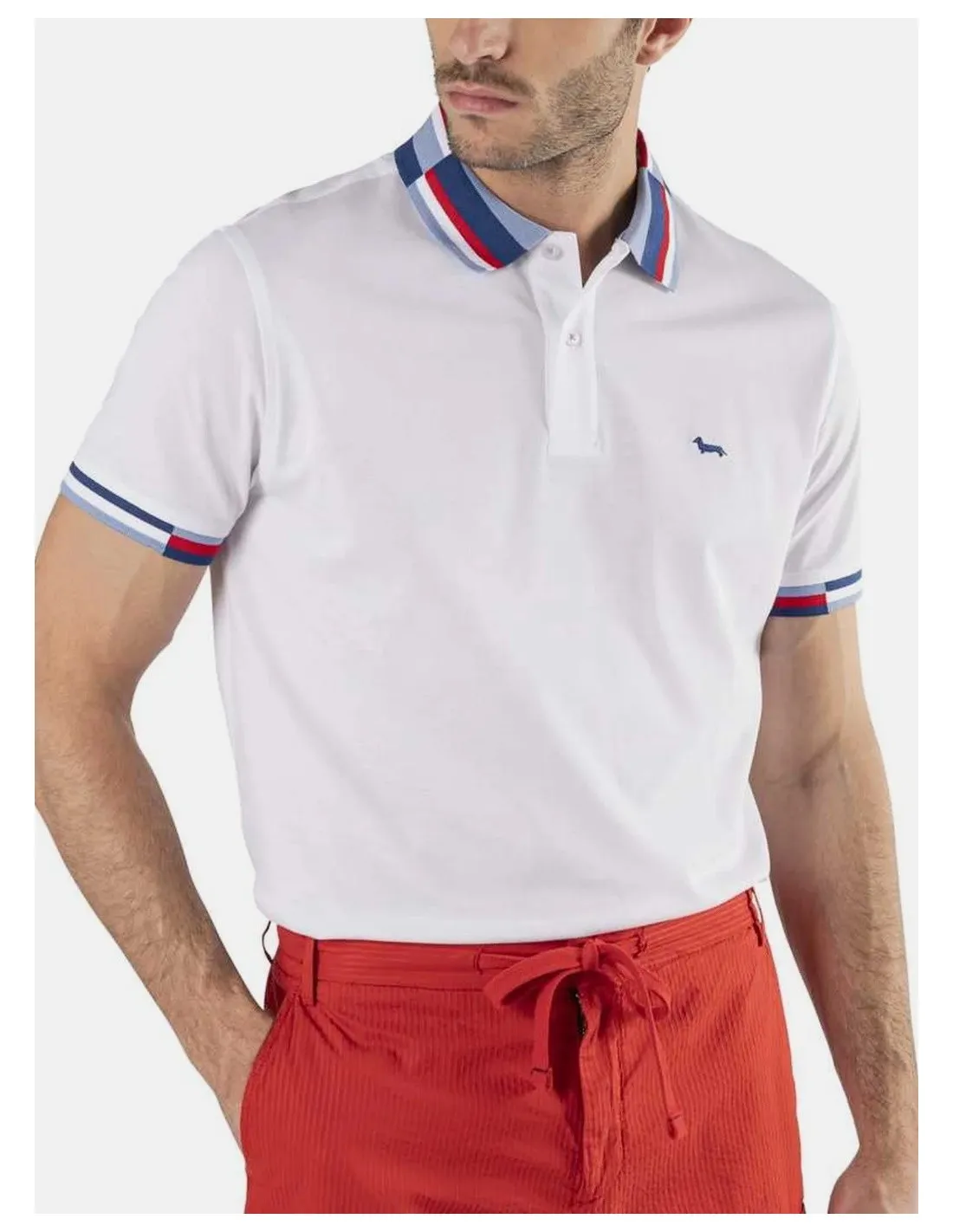 Polo Uomo collo rigato Harmont E Blain